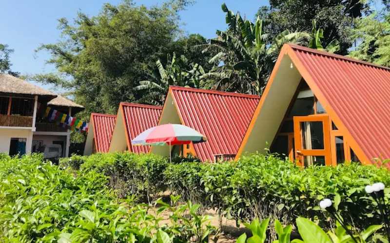 CHANGMAI INN