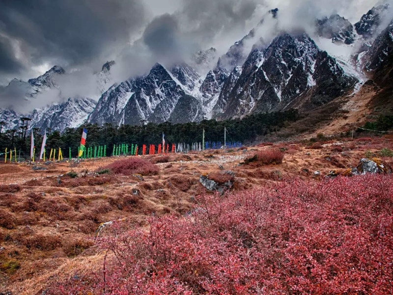 Lachung